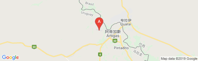 Artigas International Airport图片