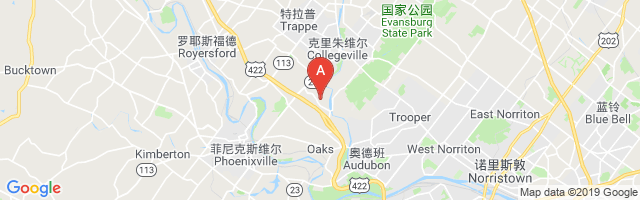 Wyeth Pharmaceuticals Airport图片