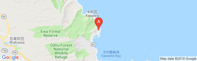 Kualoa Ranch Airport图片