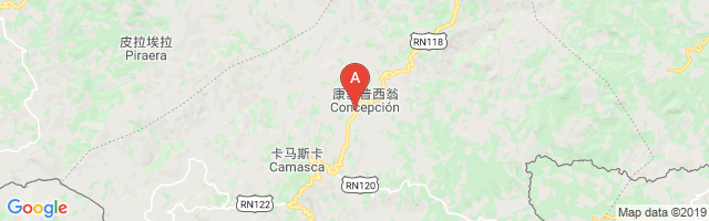 Concepción Airport图片