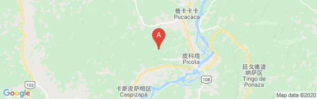 Picota Airport图片