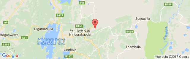 Hingurakgoda Air Force Base Airport图片