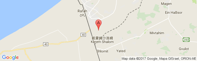 Yasser Arafat International Airport图片