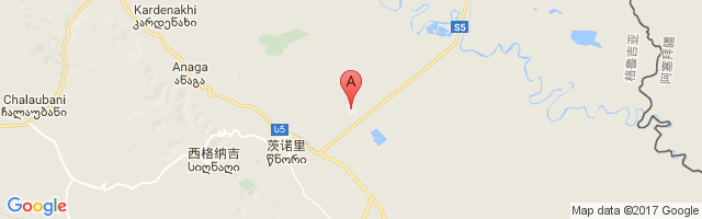 Signakhi Airport图片
