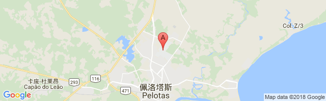 Pelotas Airport图片