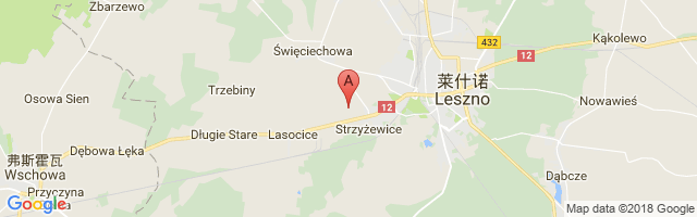 Leszno Strzyzewi Airport图片