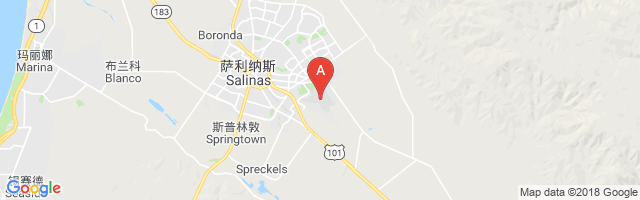 Salinas Municipal Airport图片