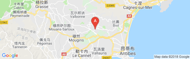 Sophia Antipolis Airport图片