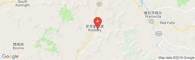 Roxbury Runway Airport图片