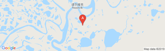 Robert (Bob) Curtis Memorial Airport图片