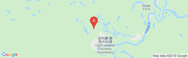 Imeni Poliny Osipenko Airport图片