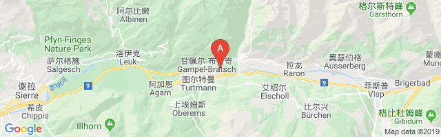 Gampel Airport图片