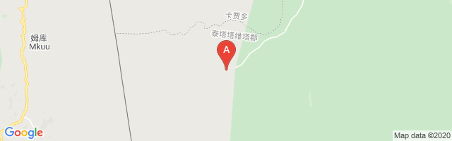 Ziwani Airport图片