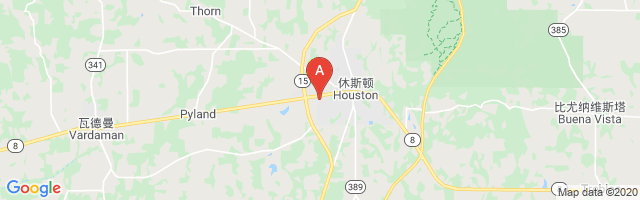 Houston Municipal Airport图片
