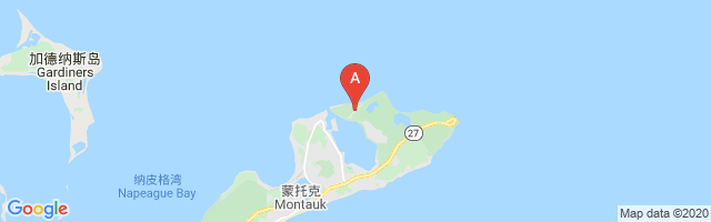 Montauk Airport图片