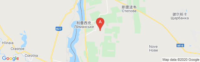 Limanske Airfield Airport图片