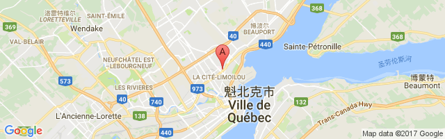 Quebec / Hôpital de l'enfant-Jésus Airport图片