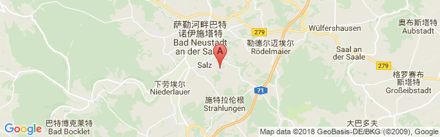 Bad Neustadt/Saale-Grasberg Airport图片