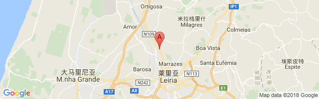 Leiria Gandara Airport图片