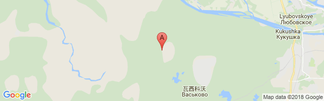 Vaskovo Airport图片