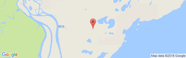 福特奇佩恩机场 Fort Chipewyan Airport图片