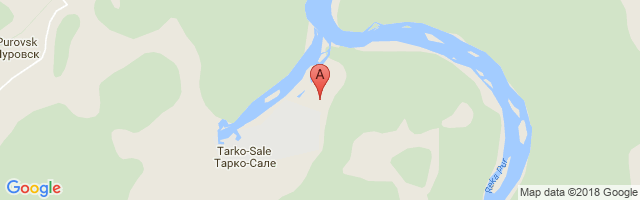 Tarko-Sale Airport图片