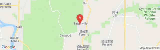 Tamms Correctional Center Airport图片