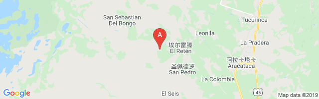 La Palestina Airport图片