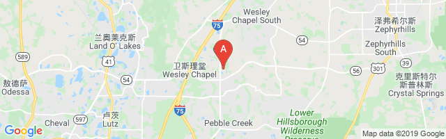 Wesley Chapel Medical Center Airport图片