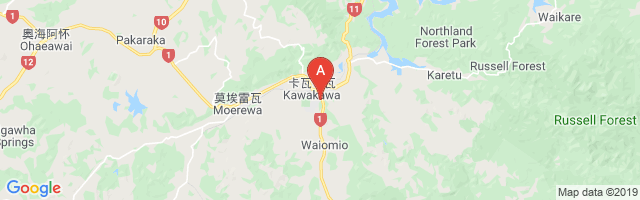 Bay of Islands Hospital Airport图片