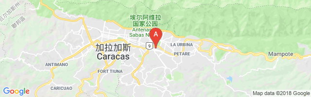 Francisco de Miranda Airport图片