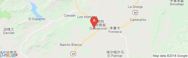 Buenavista Airport图片