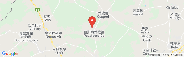 Pusztacsalád Airport图片
