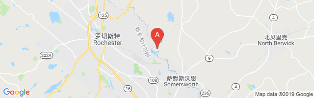 Salmon Falls Airport图片