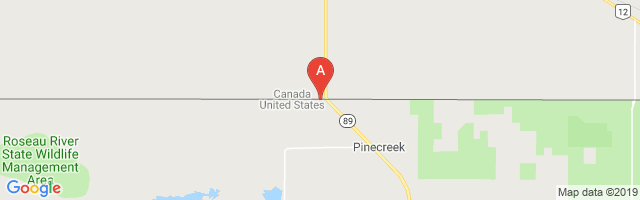 Piney Pinecreek Border Airport图片