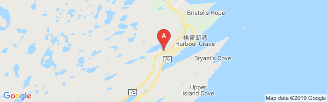 Harbour Grace Airport图片
