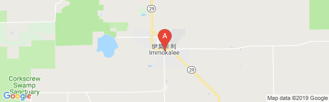 Immokalee Regional Airport图片