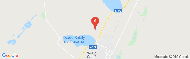 Rubtsovsk Airport图片