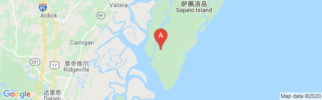 Sapelo Island Airport图片