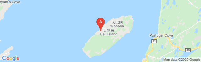 Bell Island Airport图片