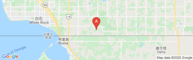 Langley (Russell Farm) Airport图片
