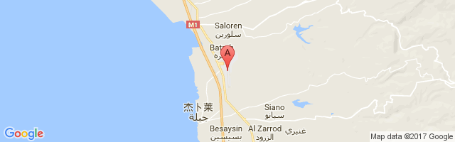 Bassel Al-Assad International Airport图片