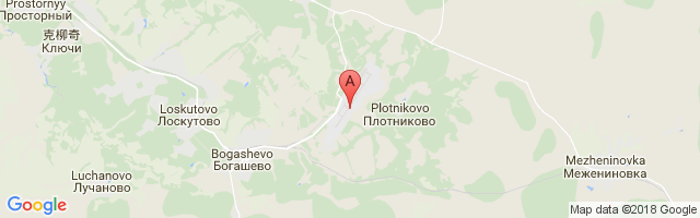 Bogashevo Airport图片