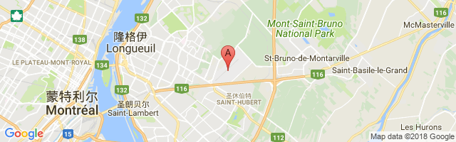 Montréal / Saint-Hubert Airport图片