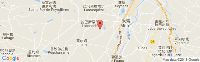 Muret-Lherm Airport图片