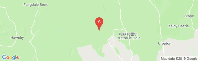 Fadmoor Airfield Airport图片