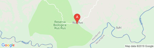 Rus Rus I Airport图片