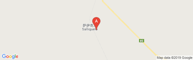 Salliqueló Airport图片