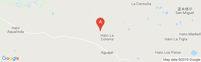 La Colonia Airport图片