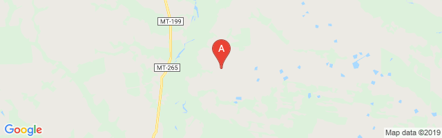 Fazenda Santa Cruz Airport图片